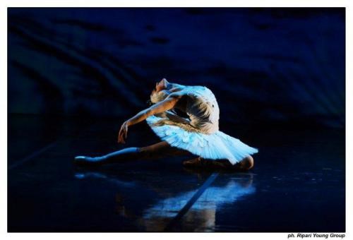 L’incanto de “Il cigno nero” al Teatro Petruzzelli